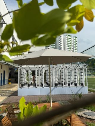 GREEN HOUSE (MARSILING SECONDARY SCHOOL)