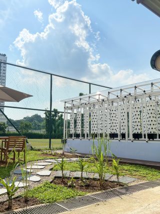 GREEN HOUSE (MARSILING SECONDARY SCHOOL)